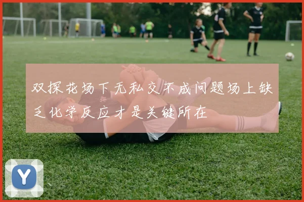 双探花场下无私交不成问题场上缺乏化学反应才是关键所在