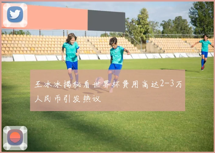 王冰冰揭秘看世界杯费用高达2-3万人民币引发热议